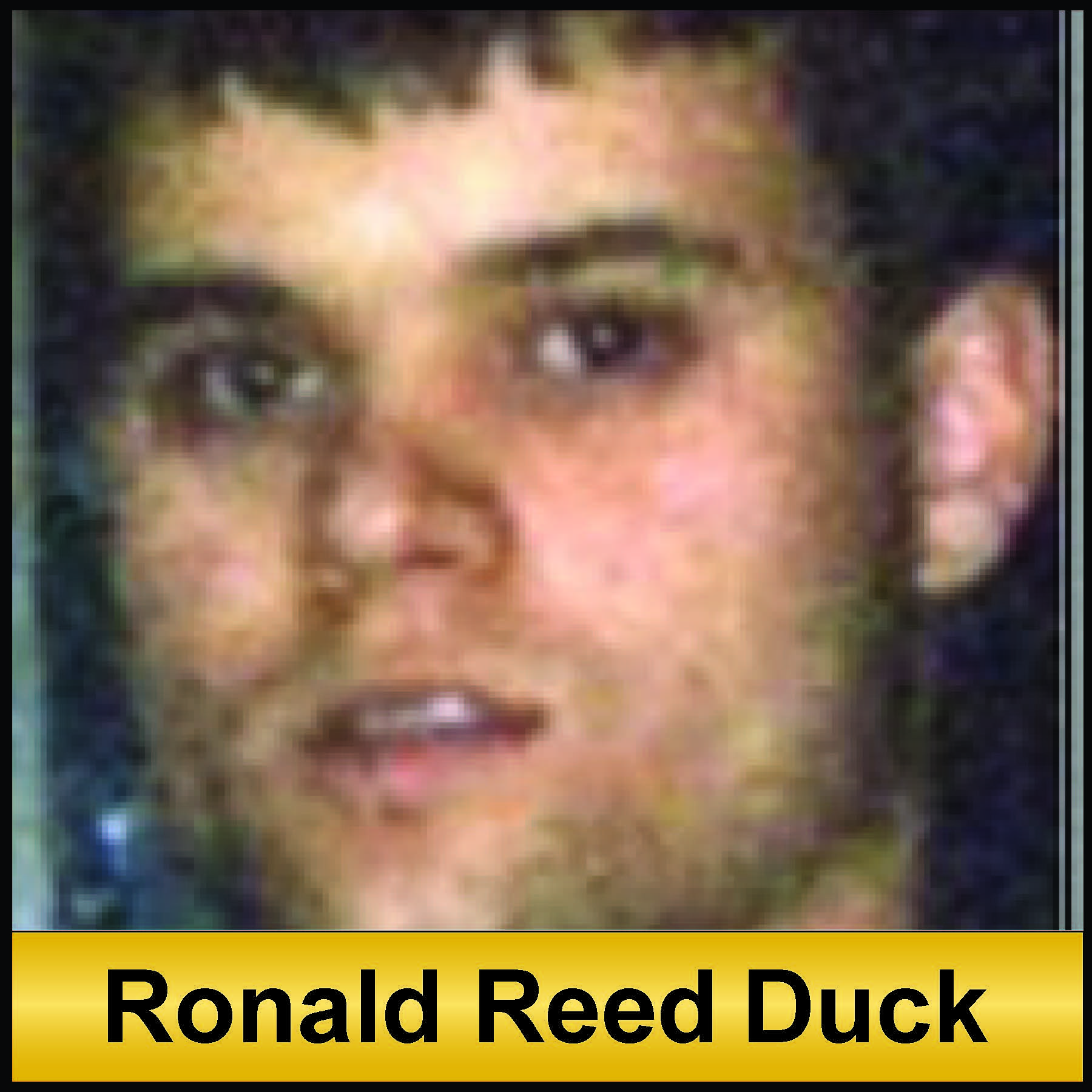 Ronald Reed Duck, missing person